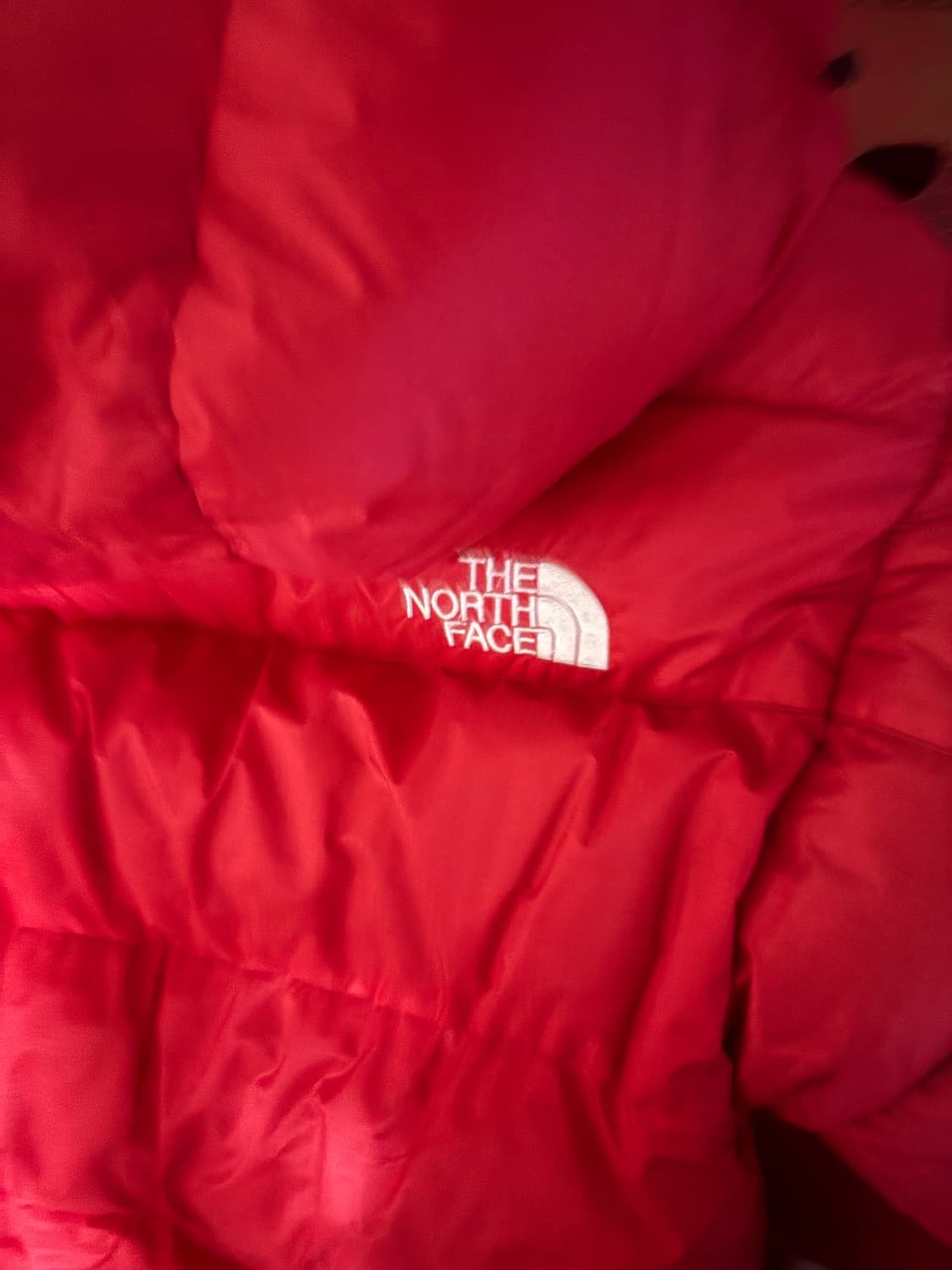 노스페이스 써밋시리즈 800 발토로 S/M 상품이미지5