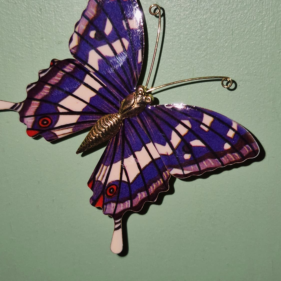 70s 일본 엔틱 황제 나비 빅 브로치 상품이미지7