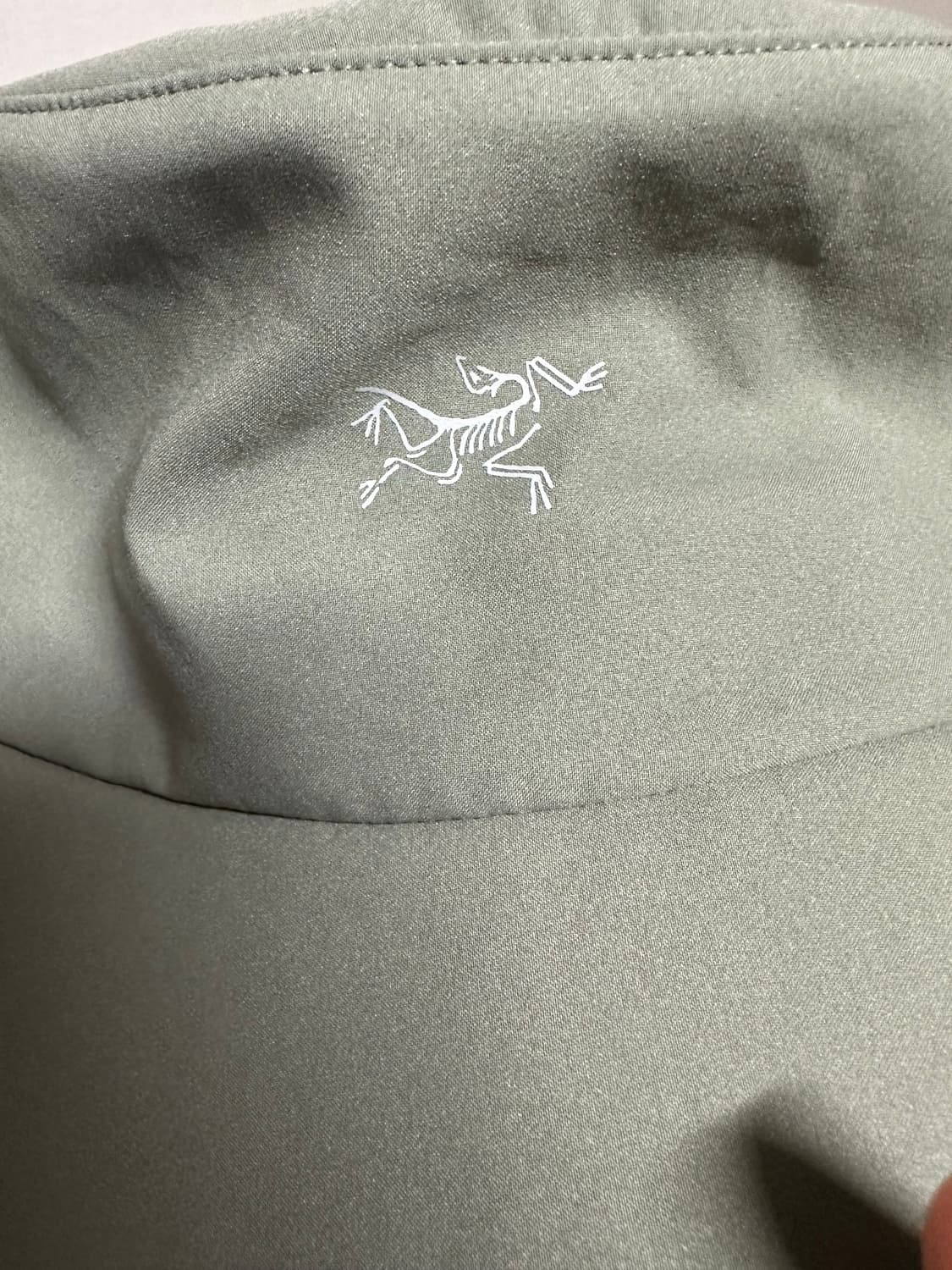 아크테릭스 신솔로 포리지 L/xl 상품이미지2