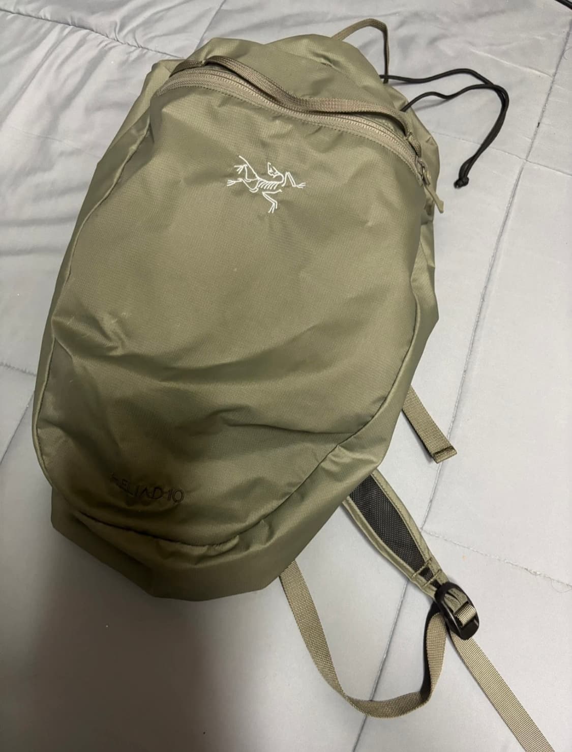 아크테릭스 헬리아드 10 포리지 상품이미지1