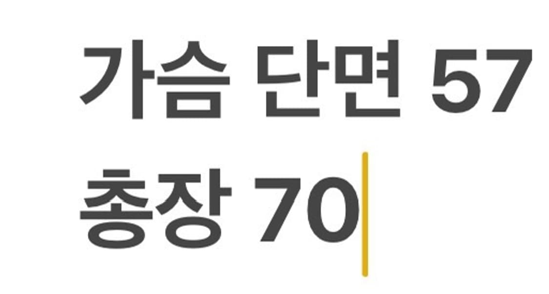 [정품/L,100] 나이키 올드스쿨 스우시 바람막이 b16 상품이미지9