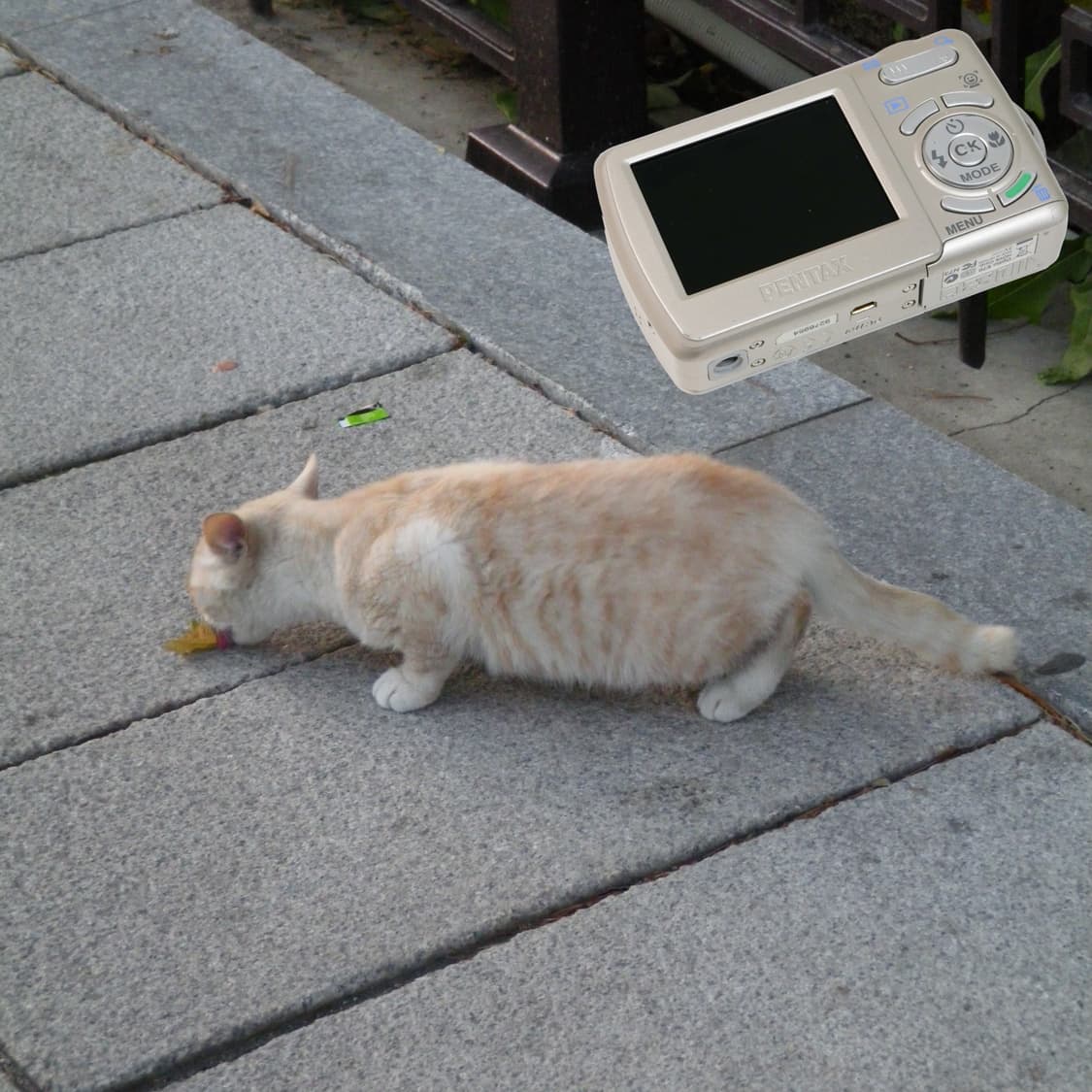 Optio E70 (B급/🎁풀패키지) 상품이미지5