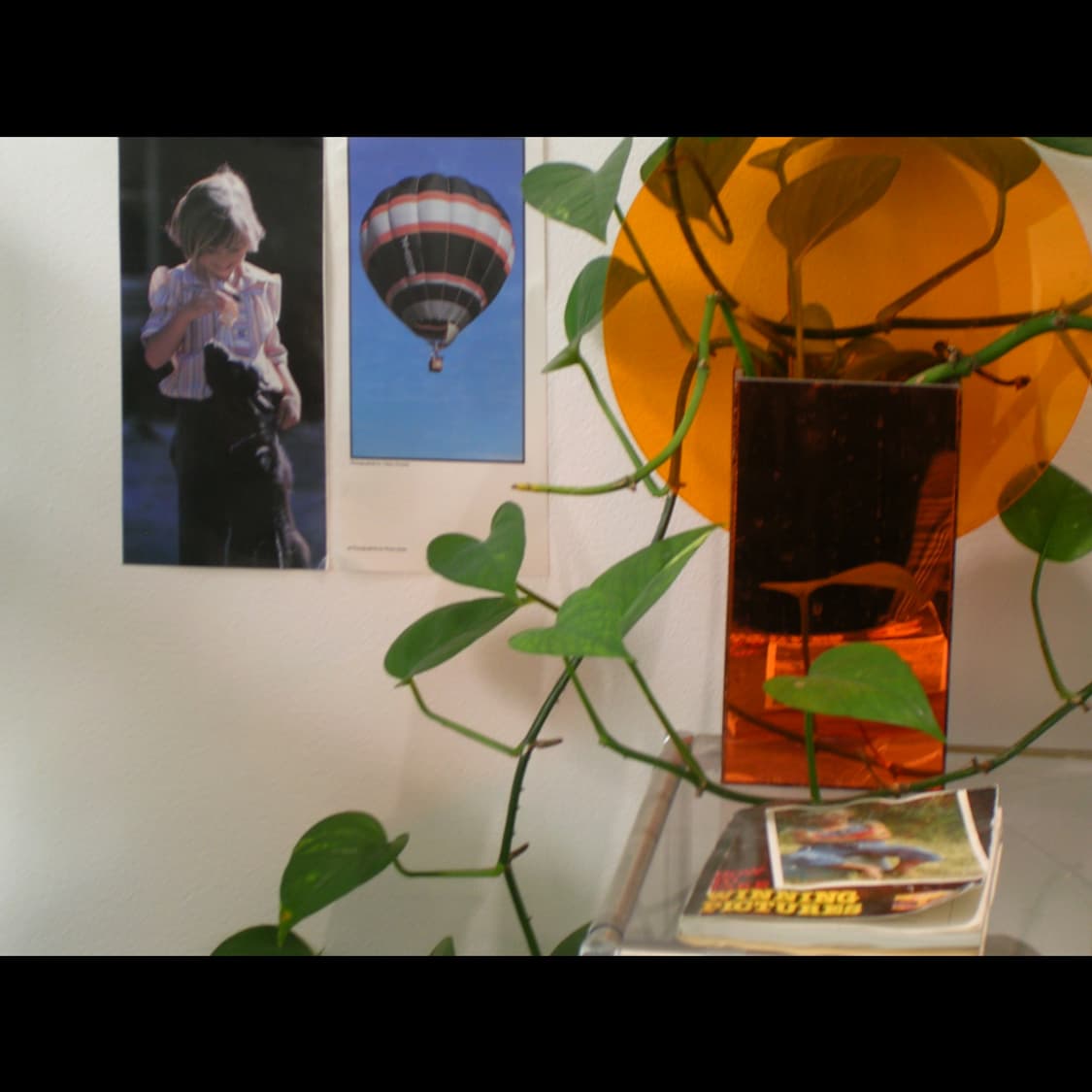 작례⭕️ 니콘 쿨픽스 3200 상품이미지7