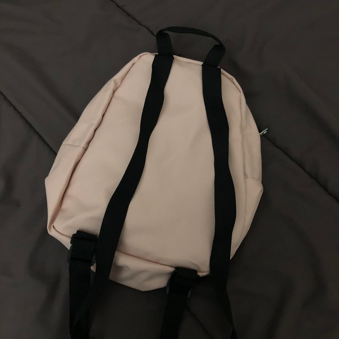 잔스포츠 하프파인트 미니백팩 MISTY ROSE 상품이미지3