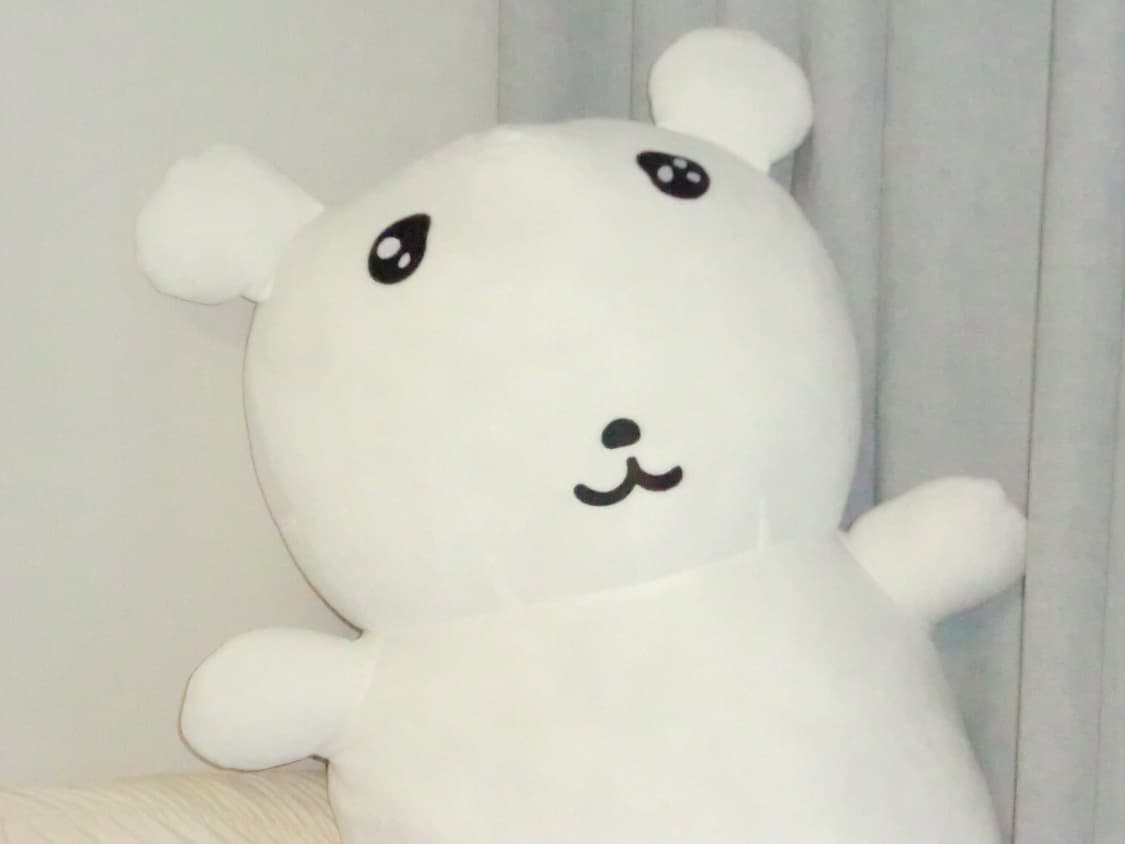 [작례있음] 카시오 엑슬림 z2300 상품이미지7