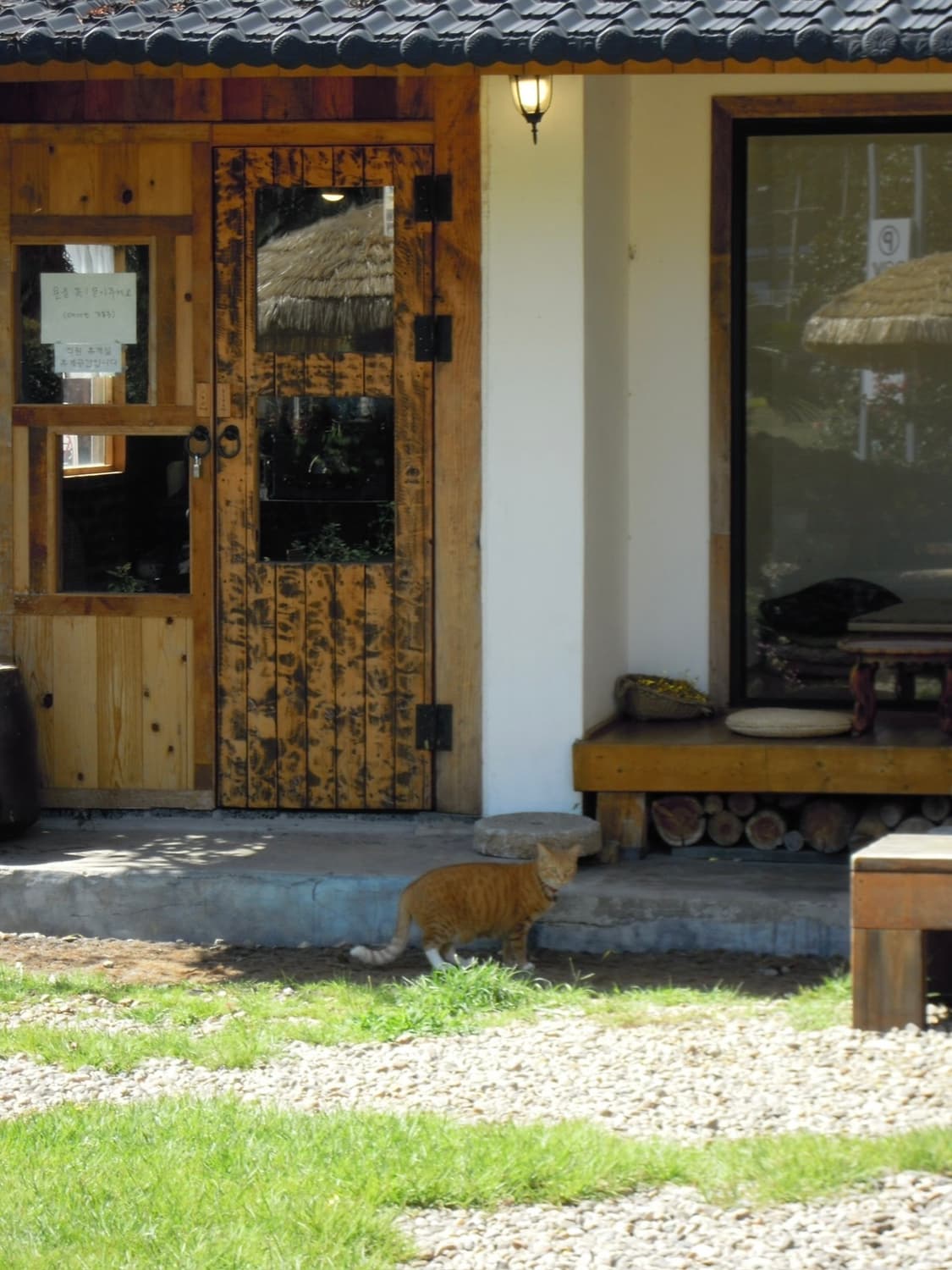 니콘 쿨픽스 P5100 빈티지디카 디지털카메라 상품이미지3