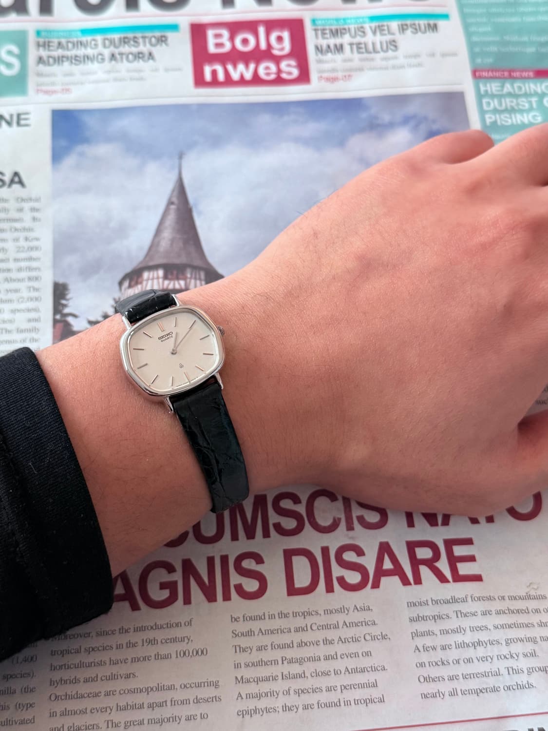 세이코 Seiko 샤리오 쿼츠 레이디스 상품이미지4