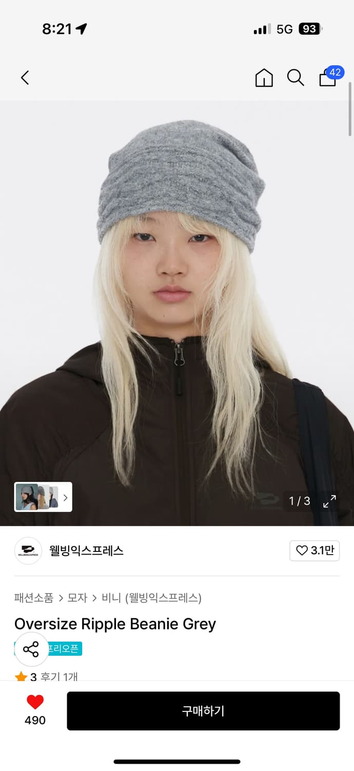 웰빙익스프레스 비니 상품이미지1