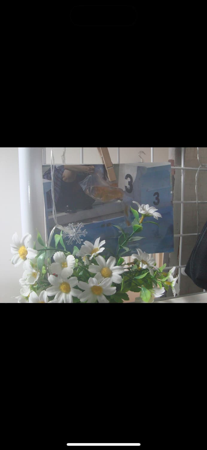 Sony DSC-W130 /빈티지 디카 뽀용&쿨한감성 상품이미지3