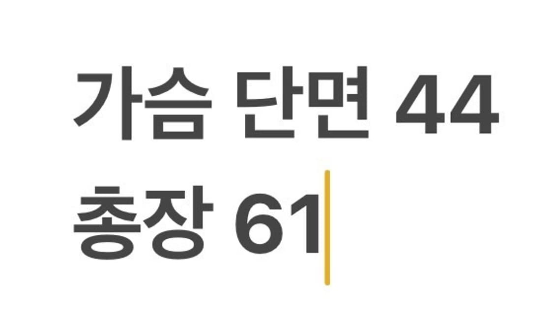 [정품/4] 랄프로렌 스트라이프 웨스턴 셔츠 그린 b19 상품이미지7