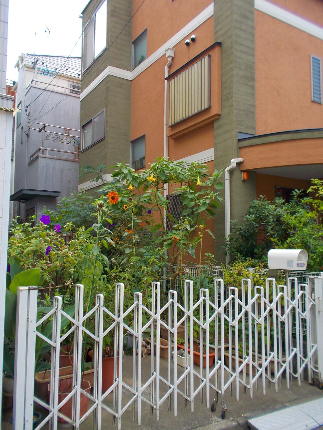 [희소템]니콘 Coolpix 쿨픽스 S30 Pink 빈티지디카  상품이미지5