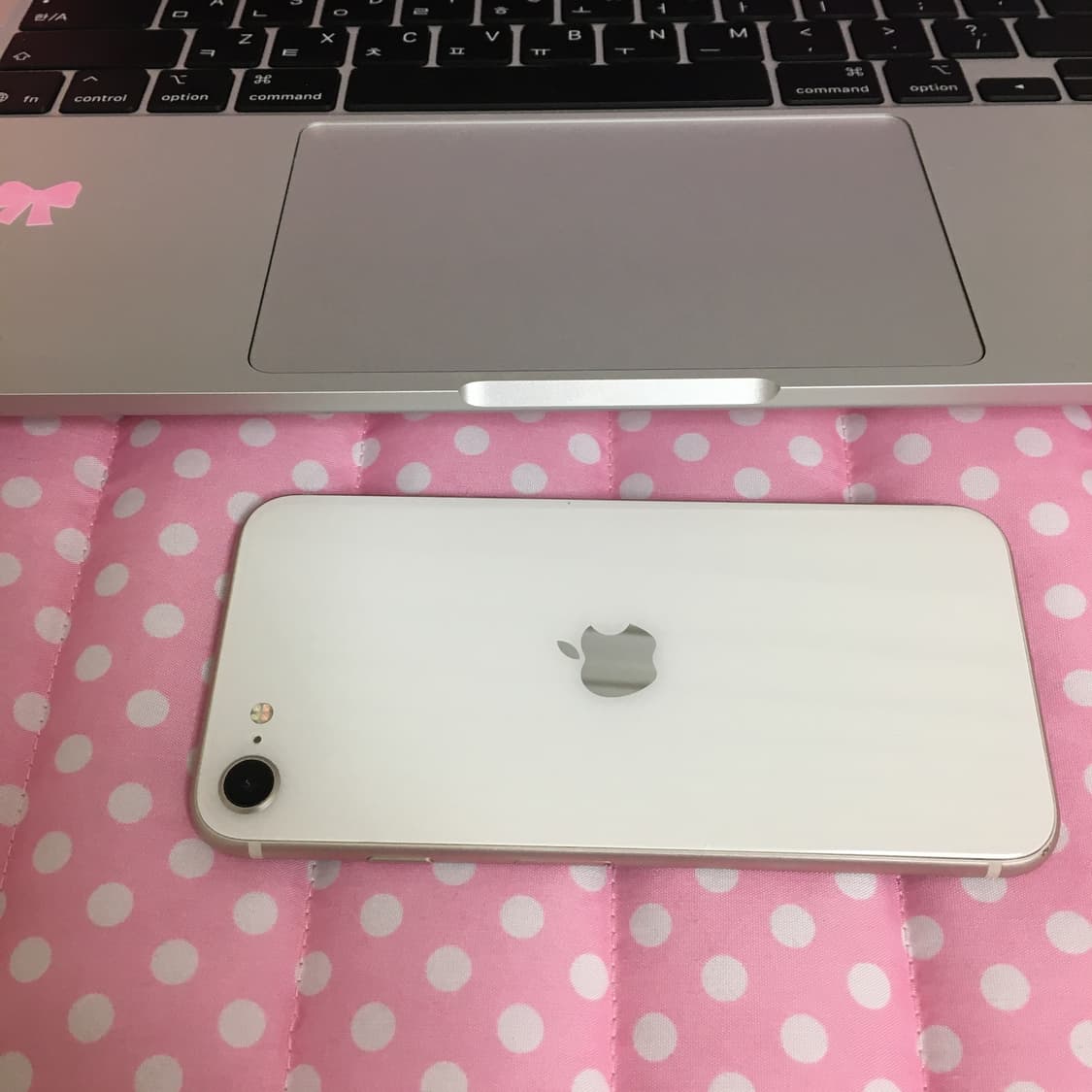 아이폰 se3 스타라이트 128기가 공기계 • 카메라 상품이미지3