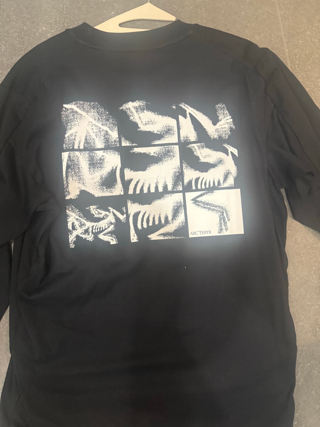 아크테릭스 롱슬리브 상품이미지2