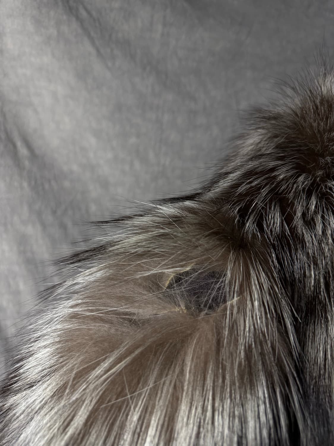 사가폭스 퍼 코트 상품이미지9