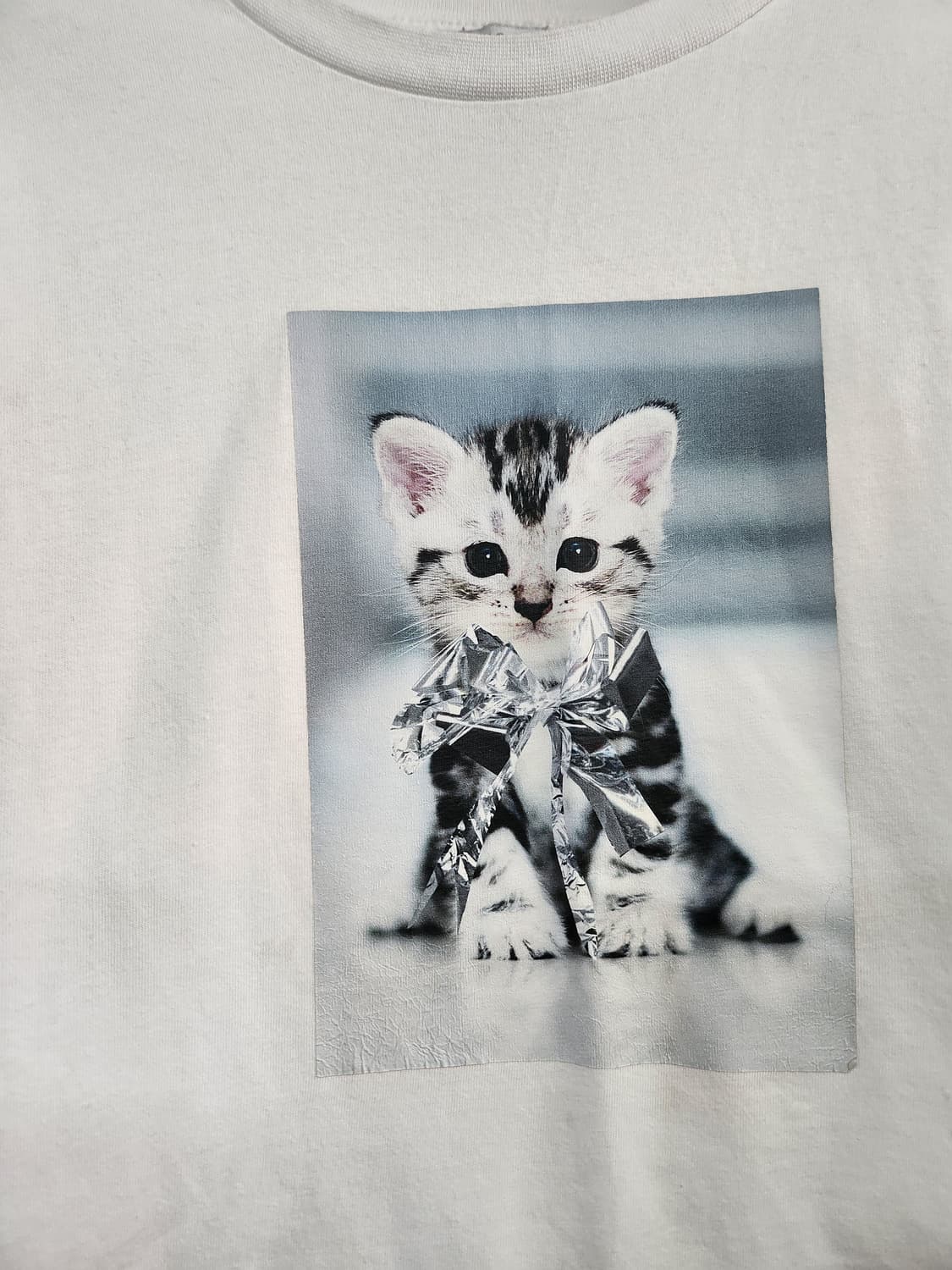 1212) MSGM 키즈 고양이프린팅 크롭 반팔티 상품이미지3