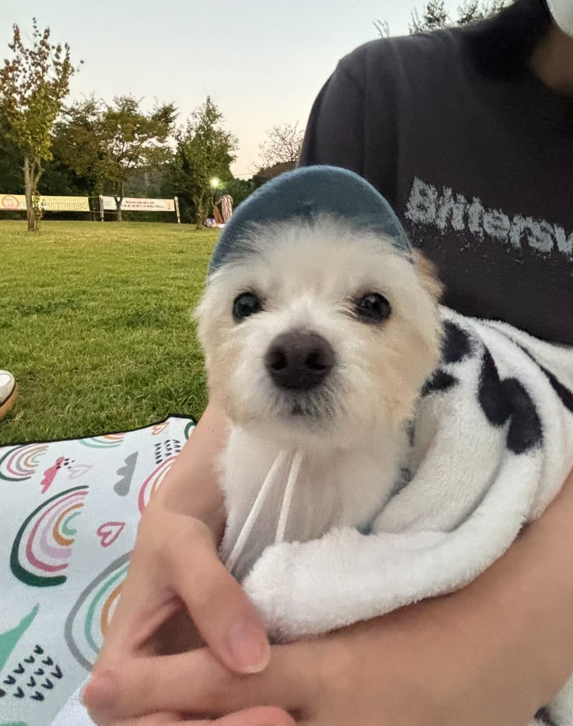 로제로제로제 상품이미지1