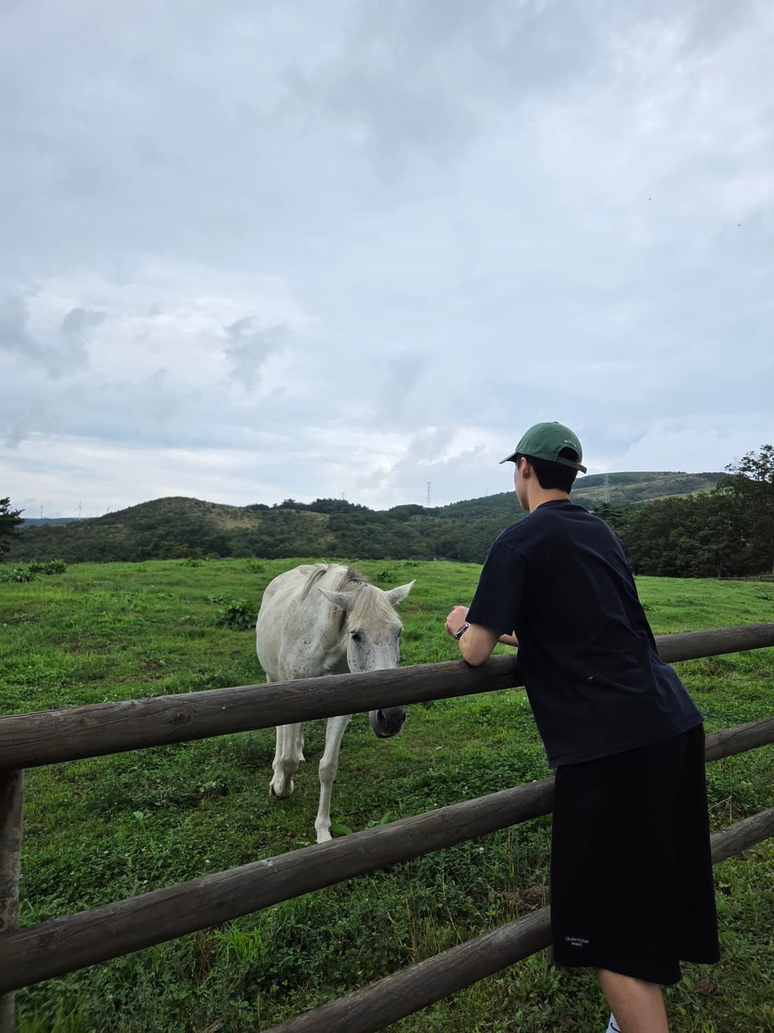 니이키 사카이 프라그먼트 LD와플 상품이미지6
