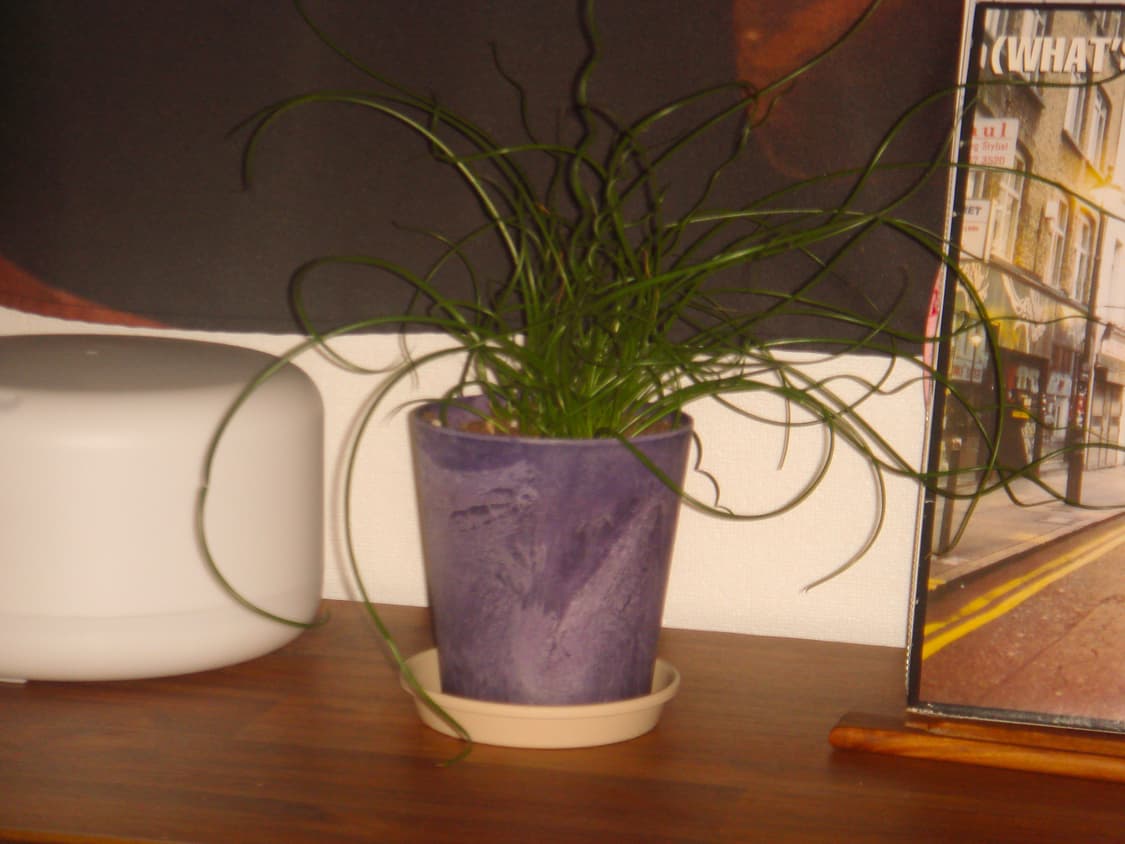 소니 사이버샷 dsc-t10 상품이미지4