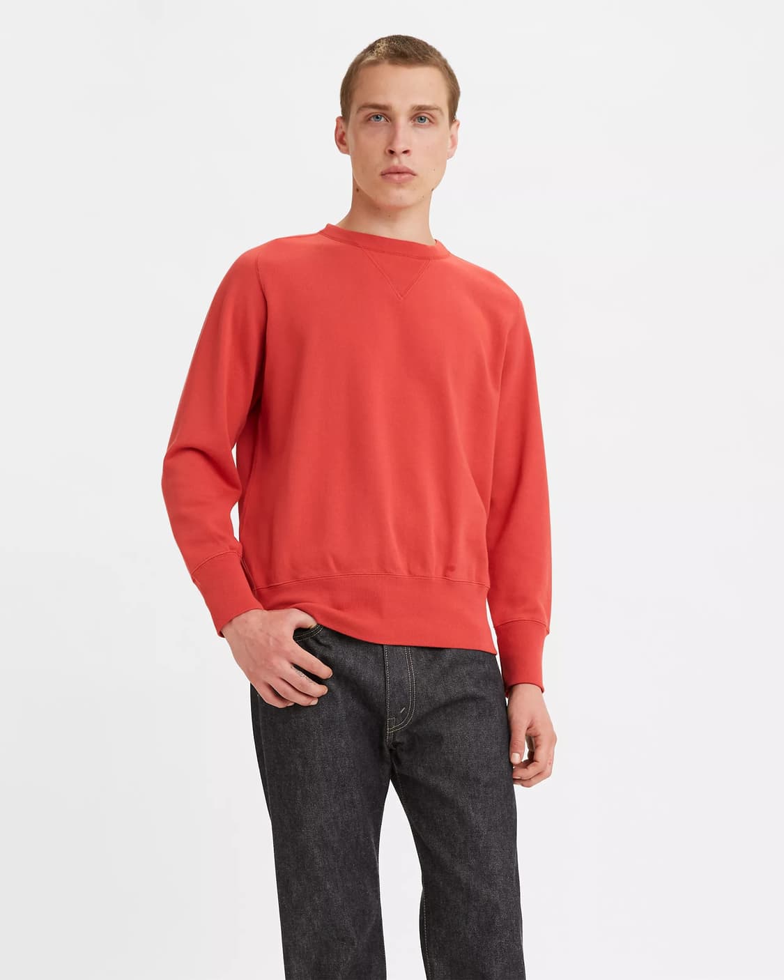 리바이스 LVC 1940's 베이 메도우 스웨트셔츠 베이크드 애플 M 상품이미지9