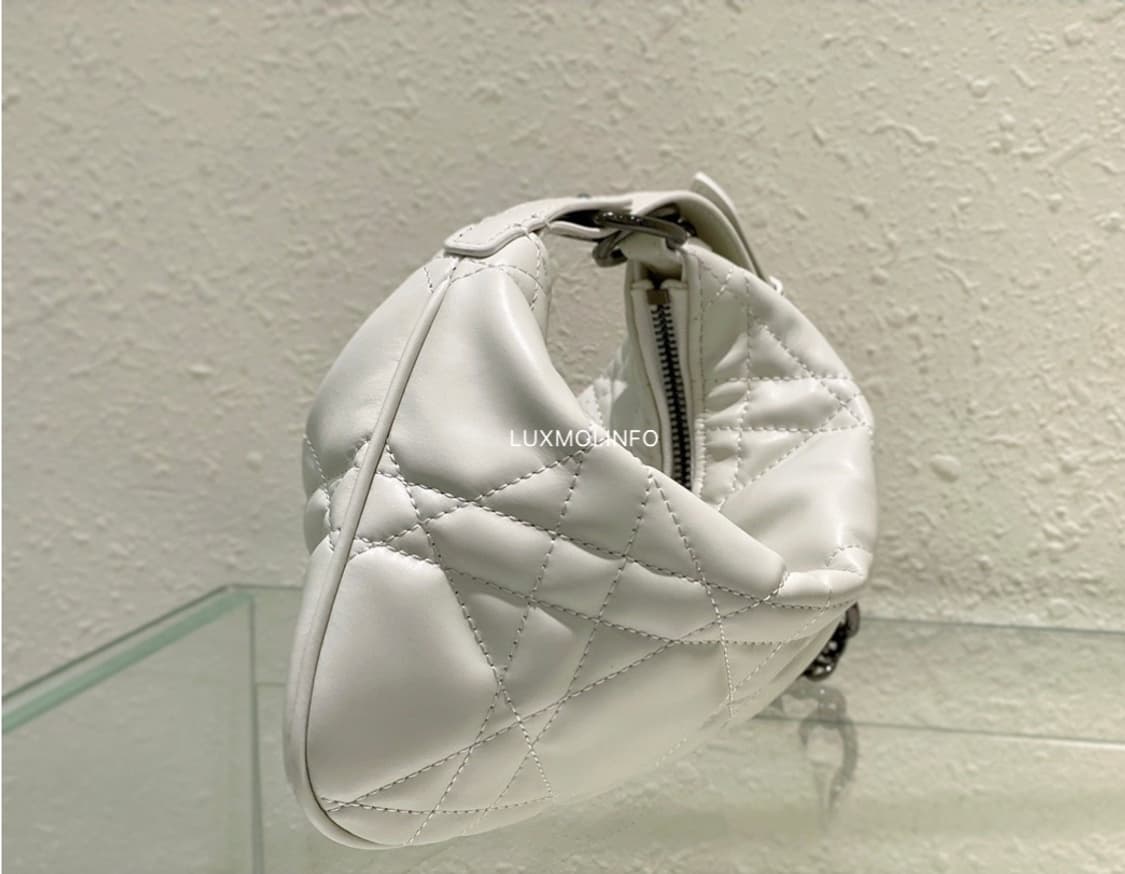 디올 카로 튤립  2022년 시즌백 상품이미지10