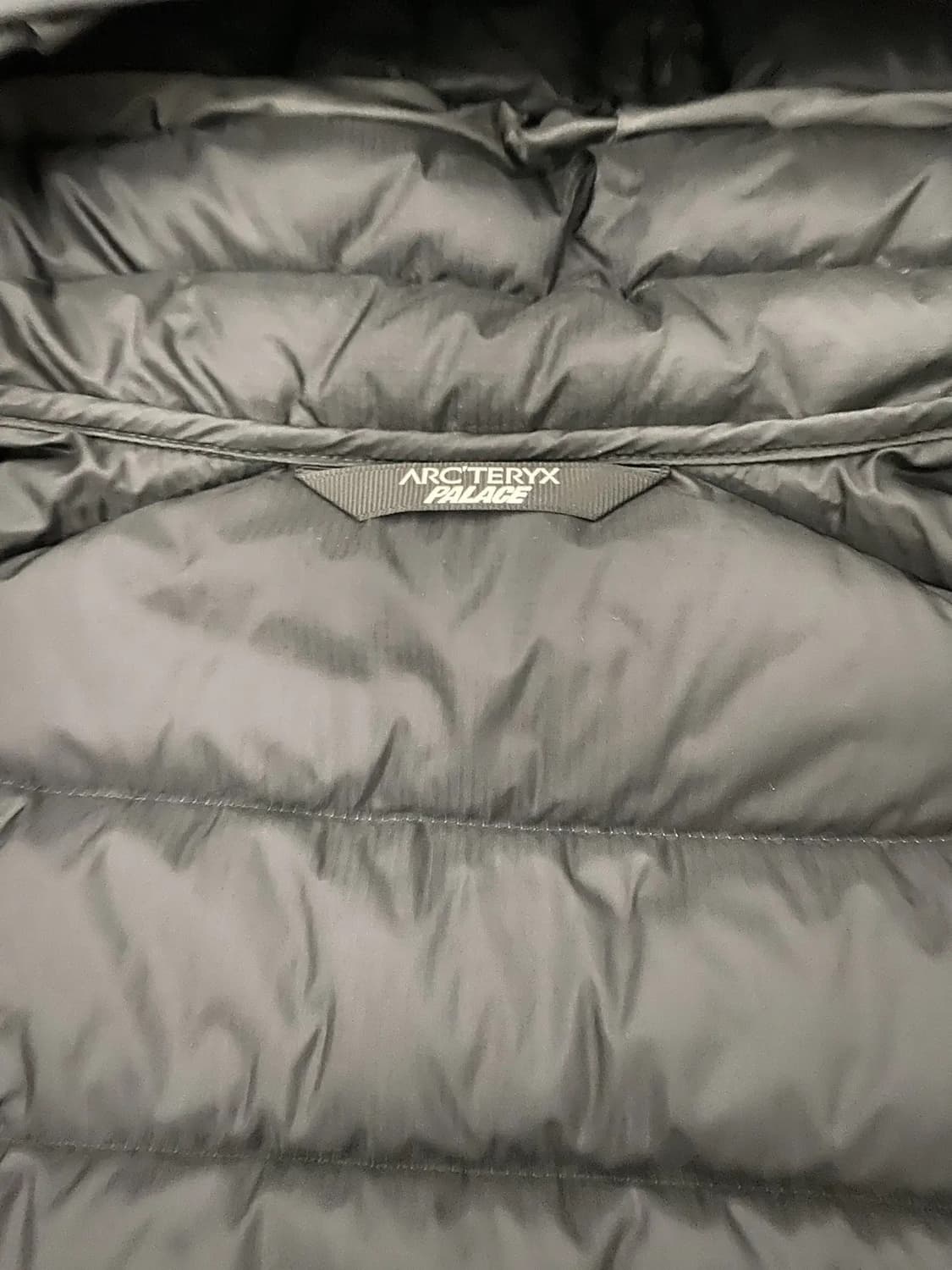 M 아크테릭스 x 팔라스 세륨 LT 후디 패딩 자켓 상품이미지3