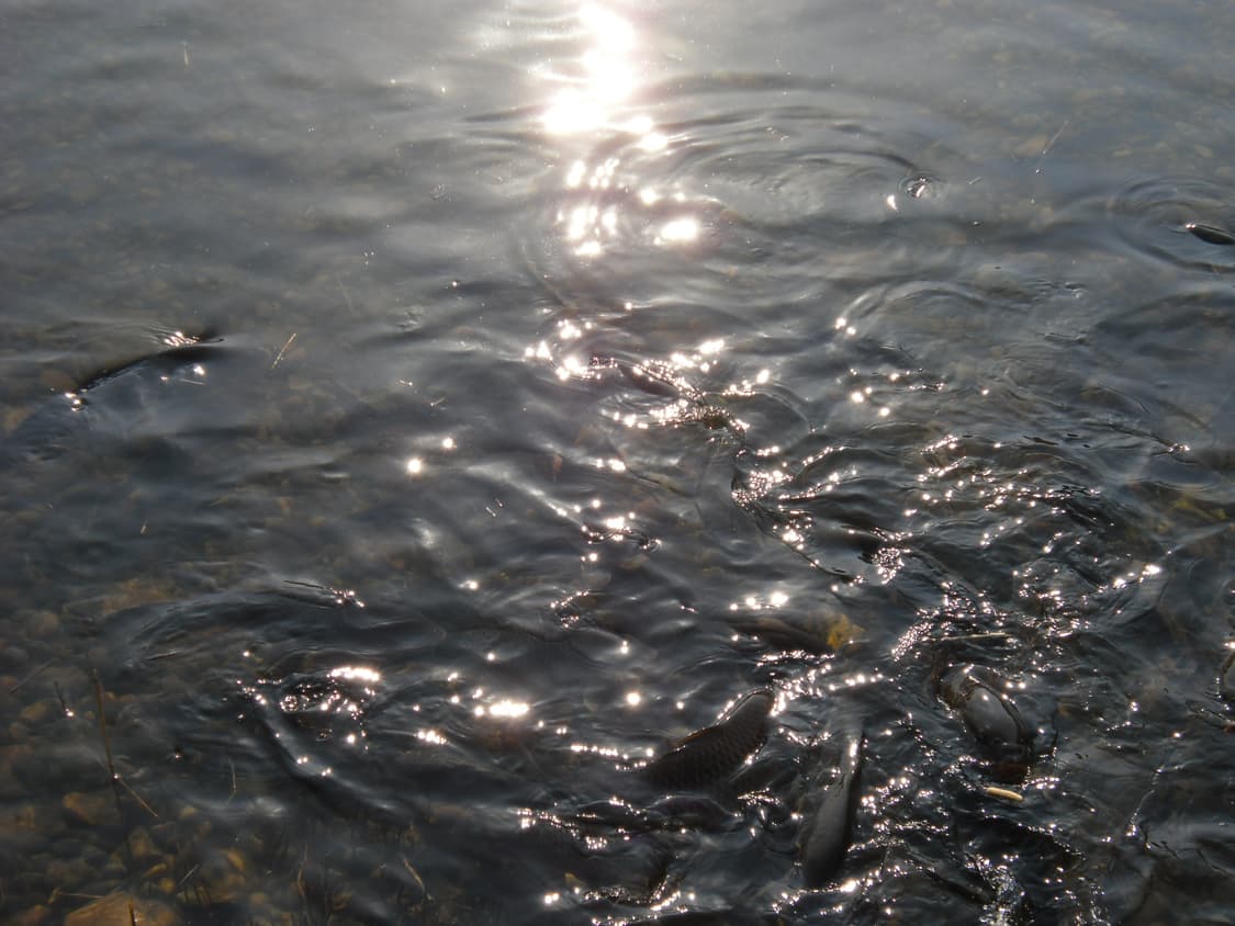 카시오 Exilim EX-Z370디카 상품이미지8