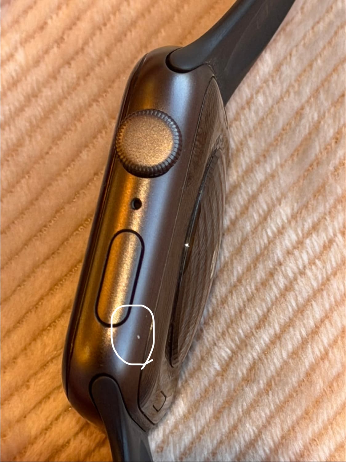 애플워치 SE 44mm 상품이미지5