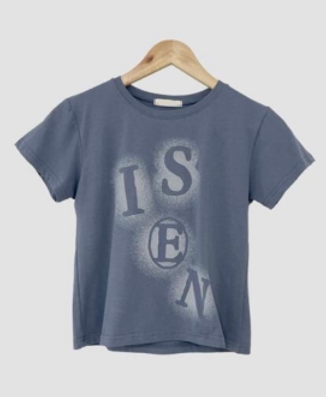 -ˋˏ 빈블 슈로니 브러쉬 프린팅 반팔 티 ˎˊ- 상품이미지4