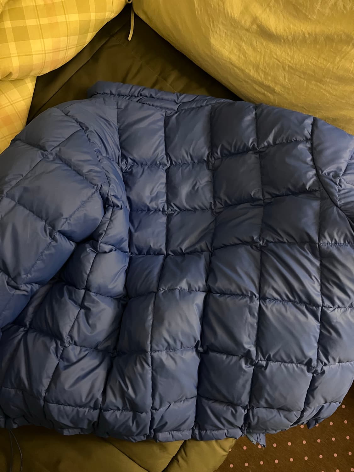 mid-weight down padded jacket 상품이미지10