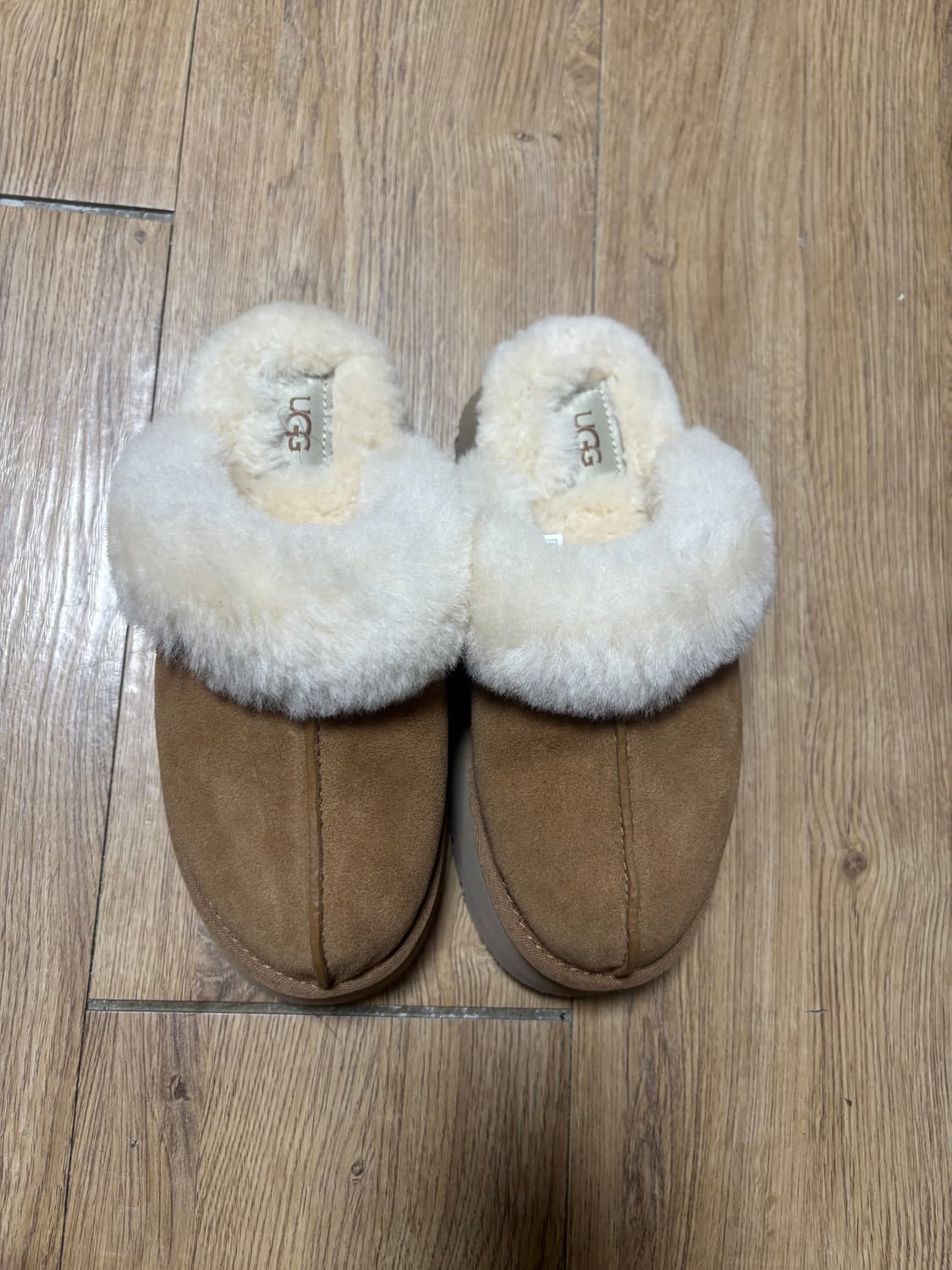 어그 디스케트 슬리퍼 체스트넛 상품이미지2