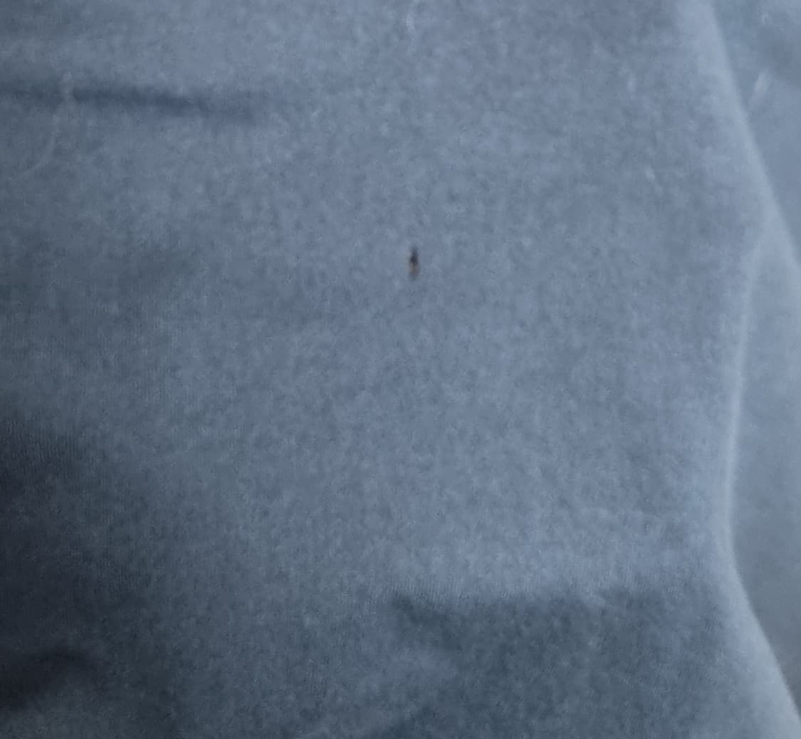 오버핏 L ) 아크테릭스 청록색 약기모 반집업 긴팔티 상품이미지6