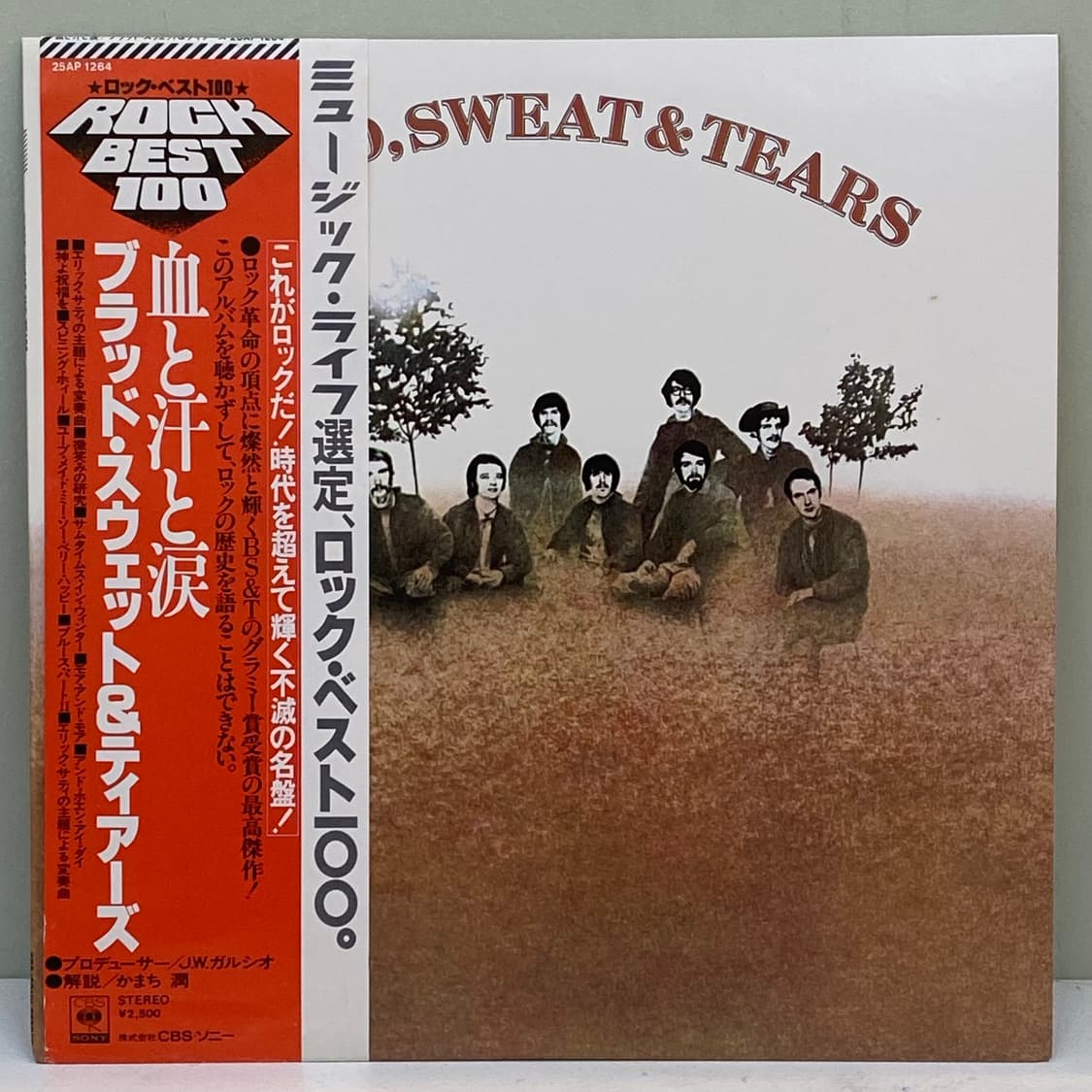 (LP) Blood, Sweat And Tears 상품이미지1