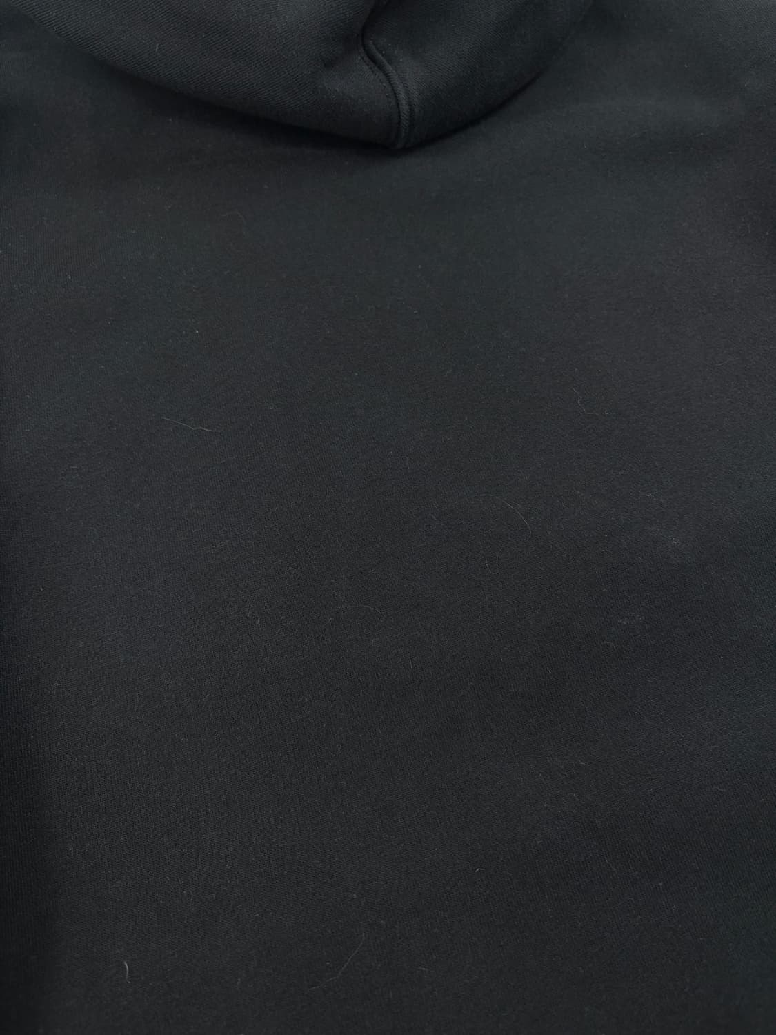 Supreme x Champion Hooded    상품이미지7