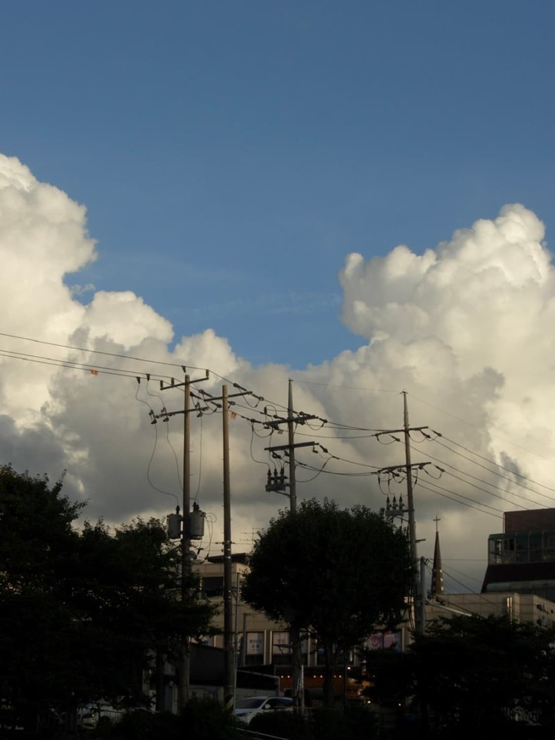 카시오 exilim ex-p600 디지털카메라 상품이미지9