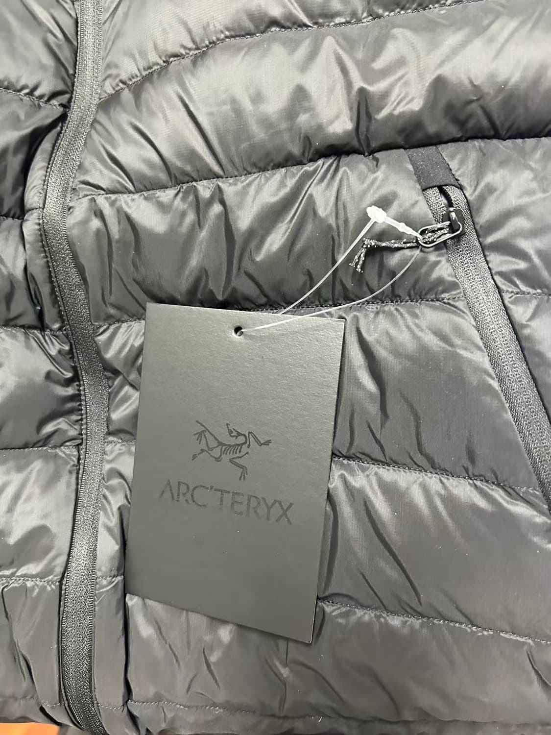 아크테릭스 세륨 후디 블랙 L 상품이미지4