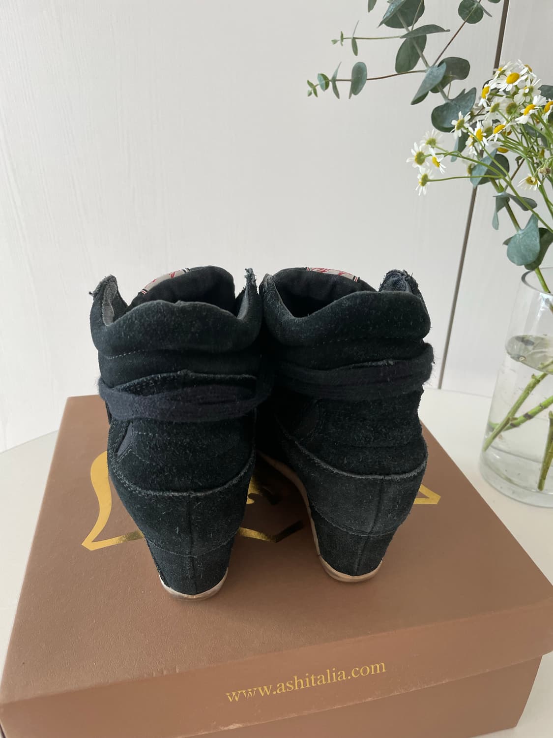 (풀셋) ash 보위 블랙 스니커즈 38 상품이미지4