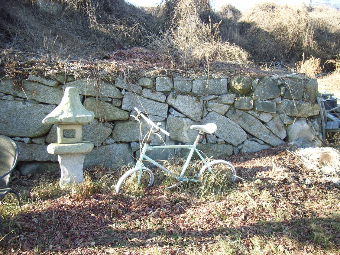 리코 카프리오 RICOH Caplio R1 디카 상품이미지7