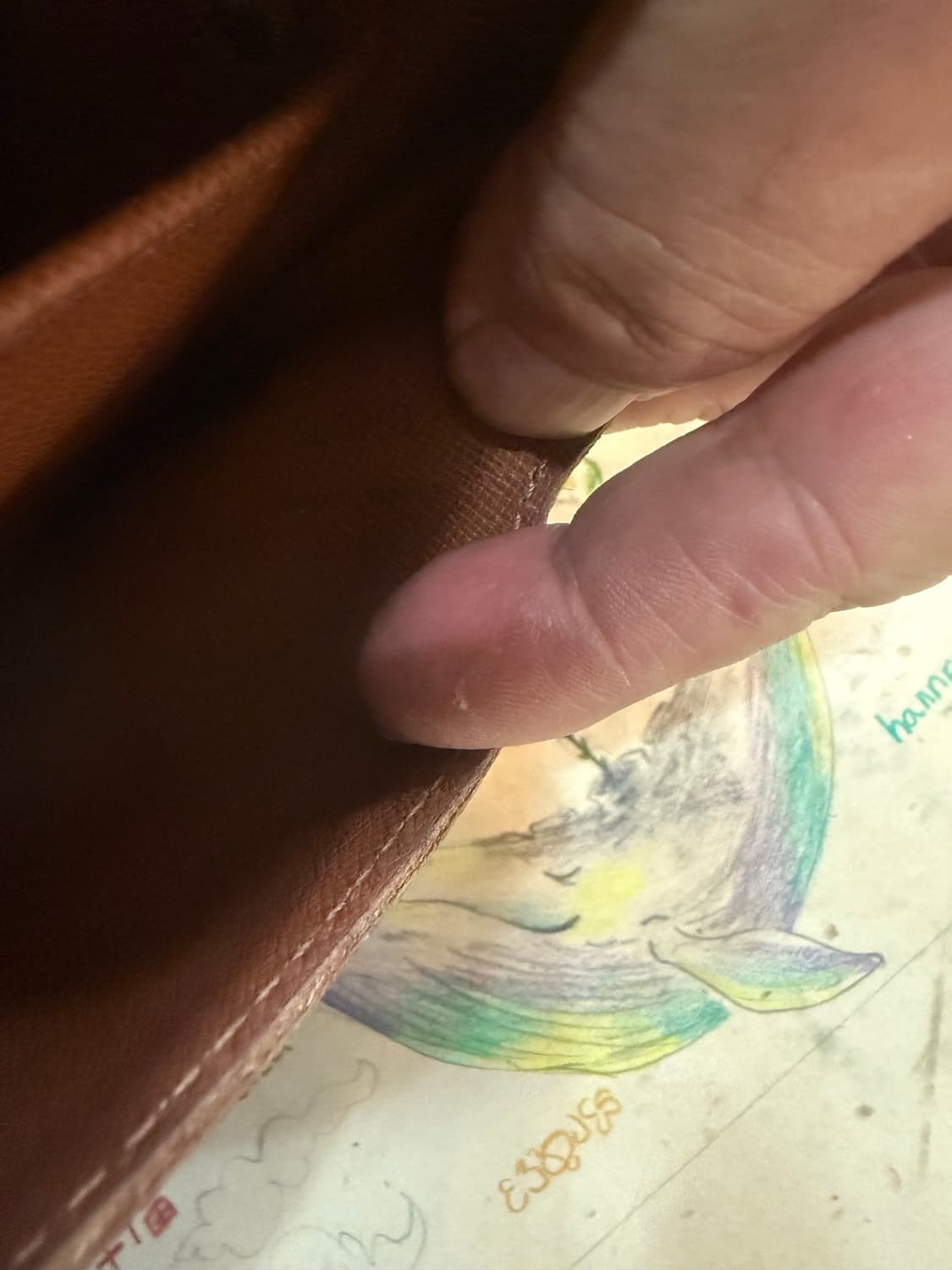 정품 루이비통 카트시에르 크로스백 팝니다 상품이미지9