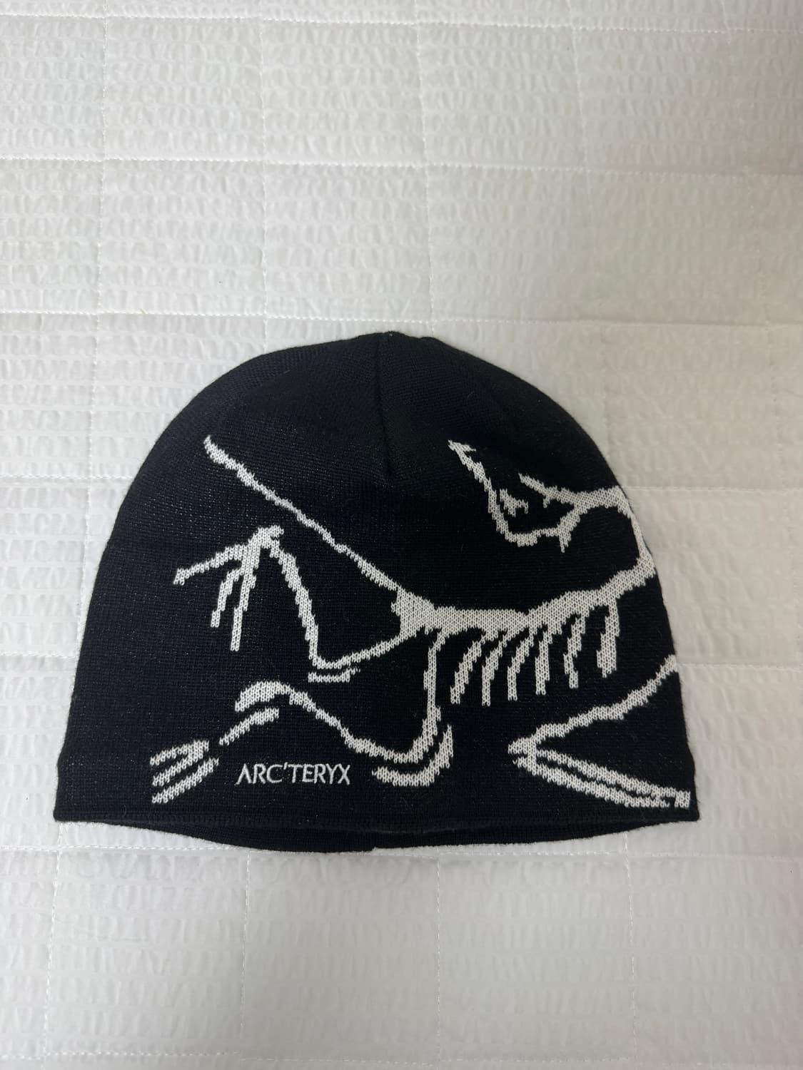 아크테릭스 비니 상품이미지2