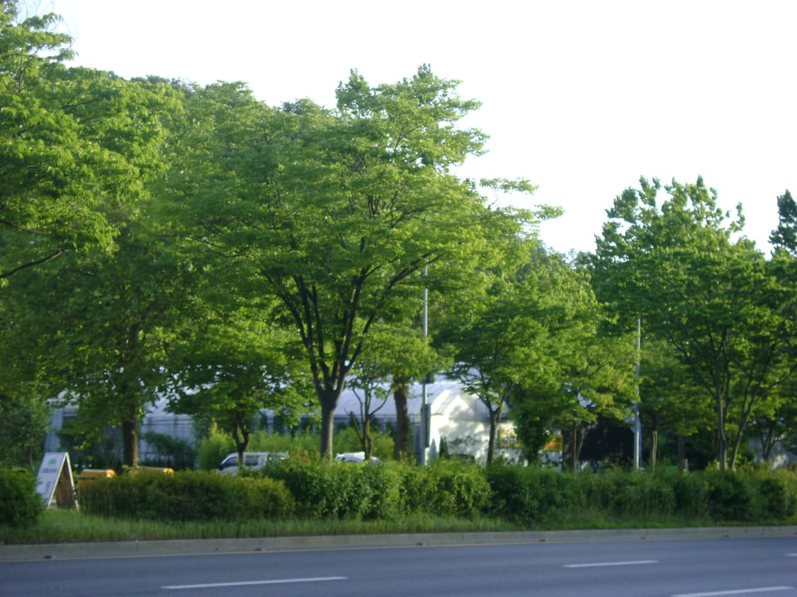 라이카&희귀!) Leica x Panasonic DMC-LX5 상품이미지4