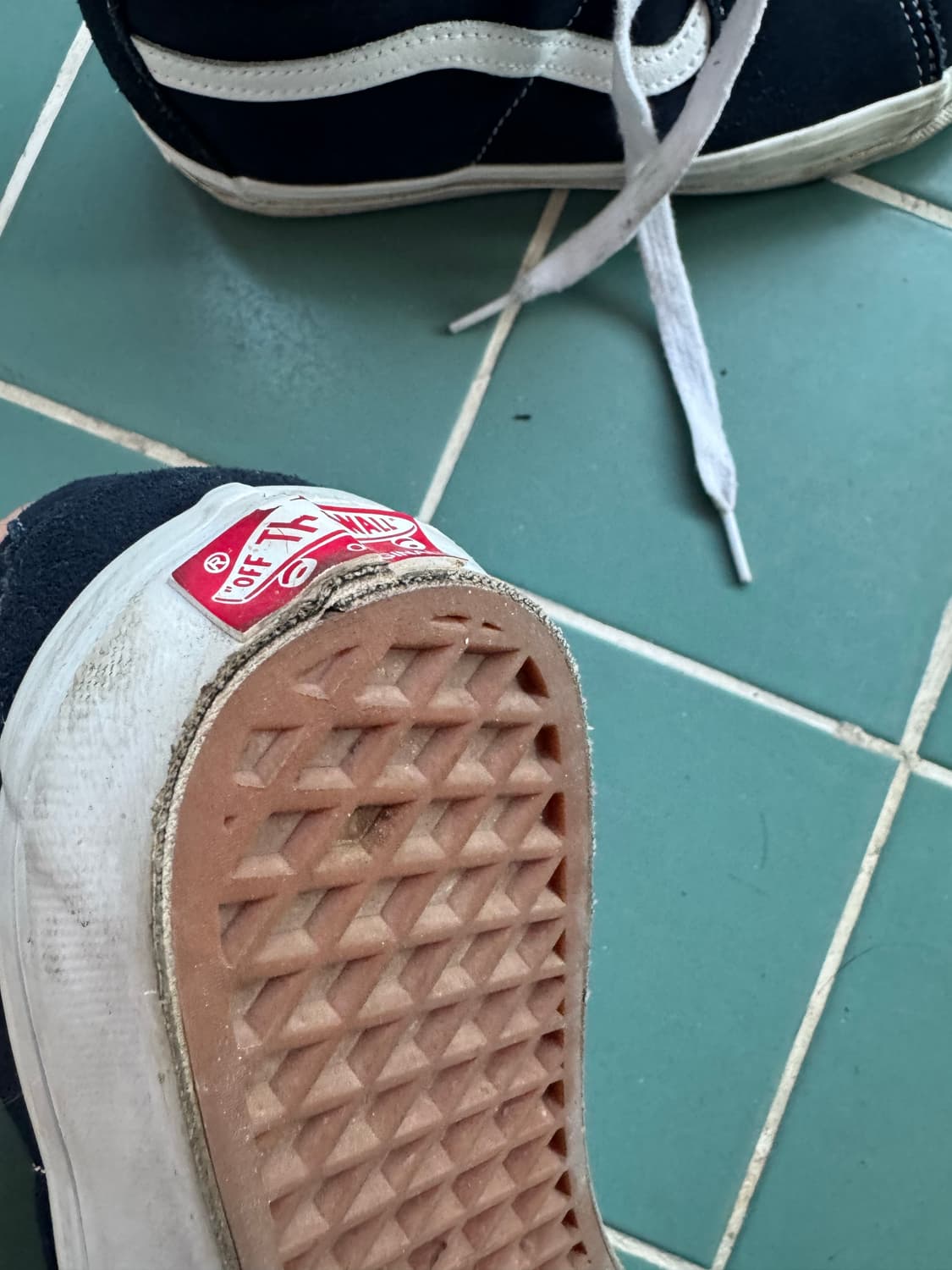 반스 볼트 스케이트 미드 255 상품이미지3