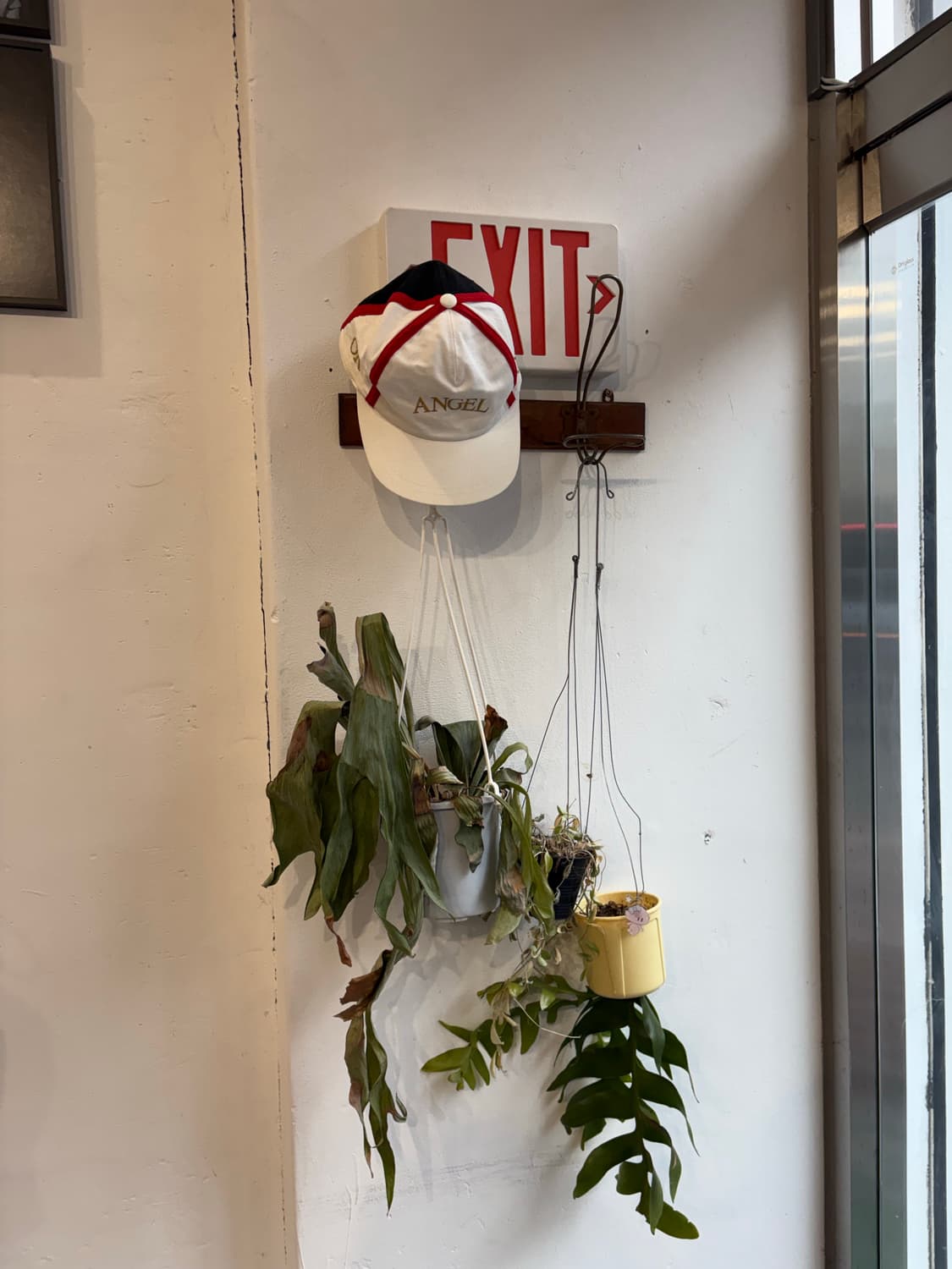 모스키노 MOSCHINO ANGEL OR DEVIL 캡 상품이미지3