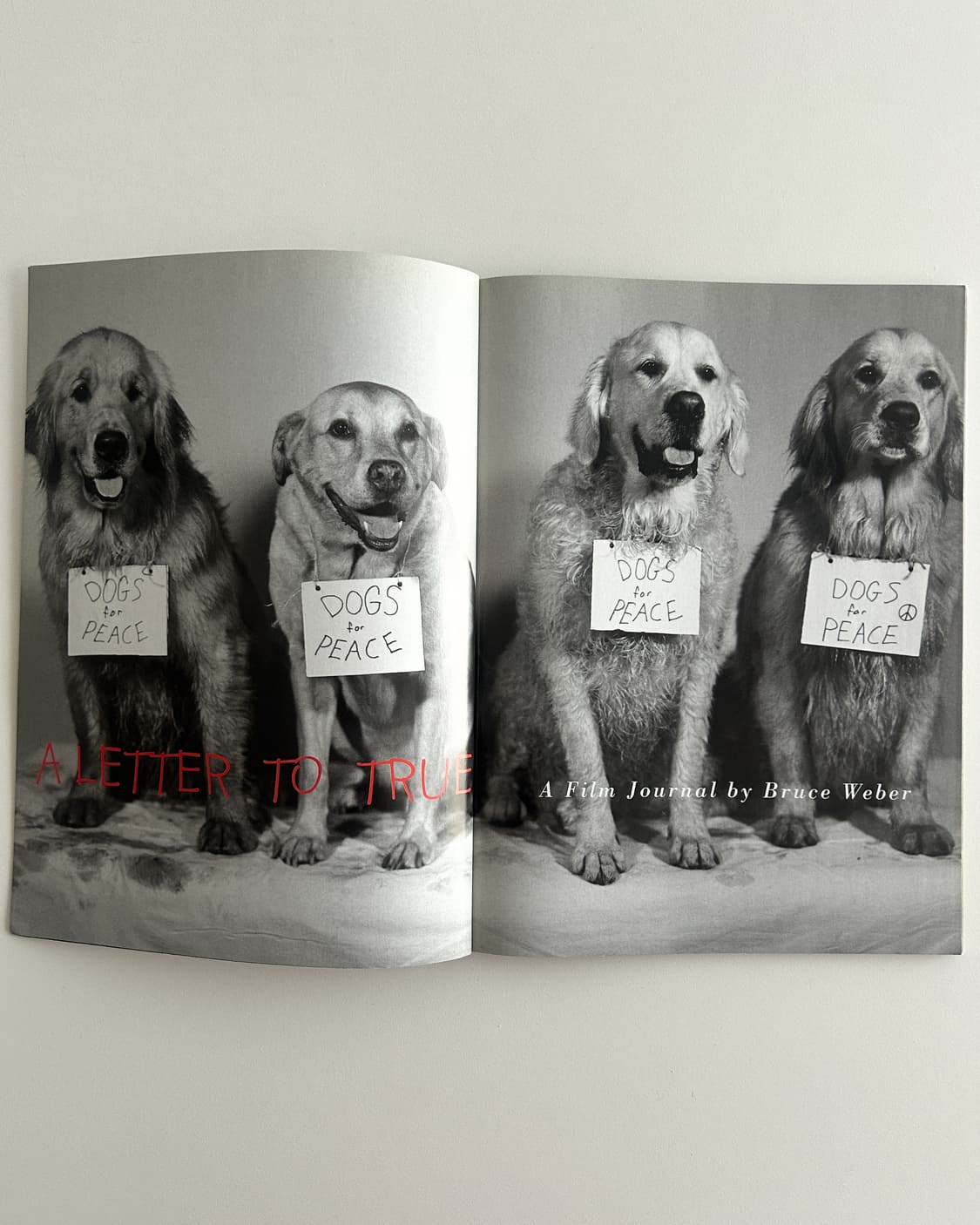 Bruce Weber - A Letter To True (2005) 상품이미지3