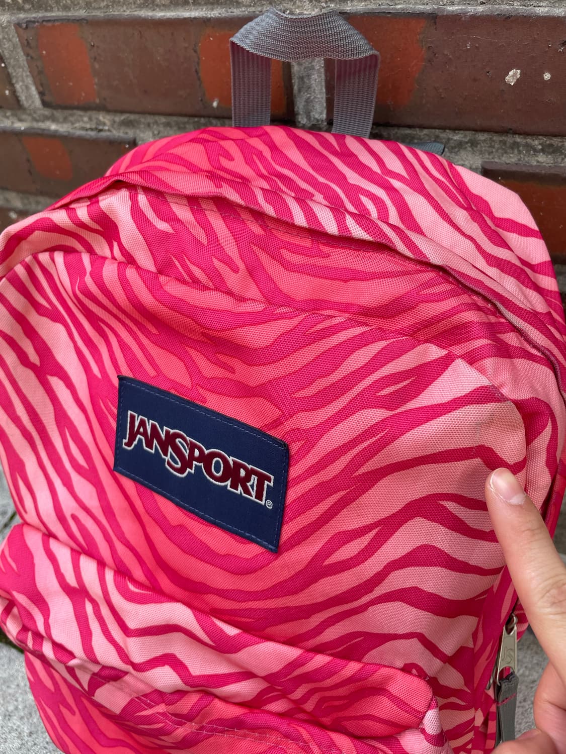 Jansport 잔스포츠 핑크 지브라 백팩 상품이미지3
