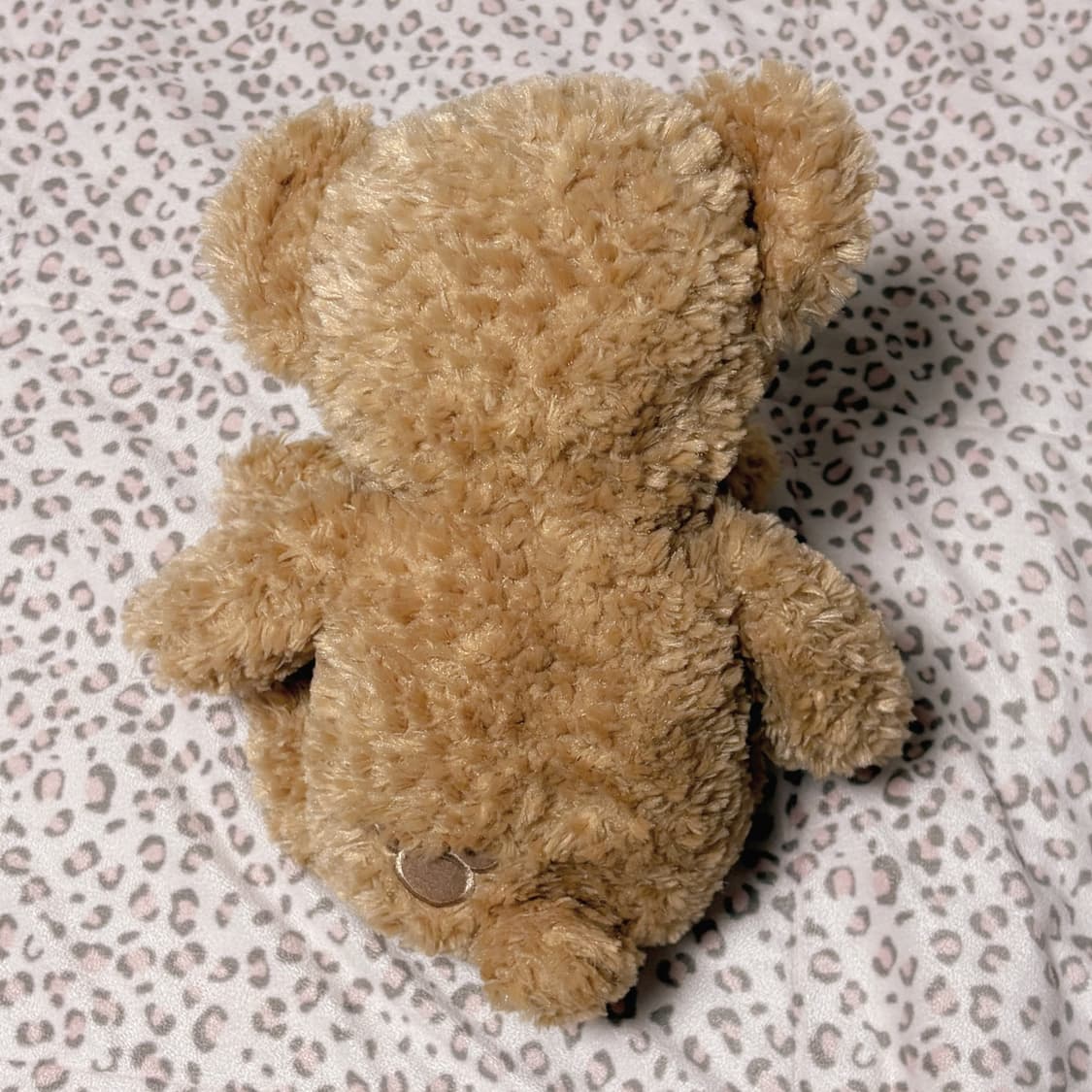 디즈니랜드 디즈니씨 더피 인형 곰돌이 인형  상품이미지3