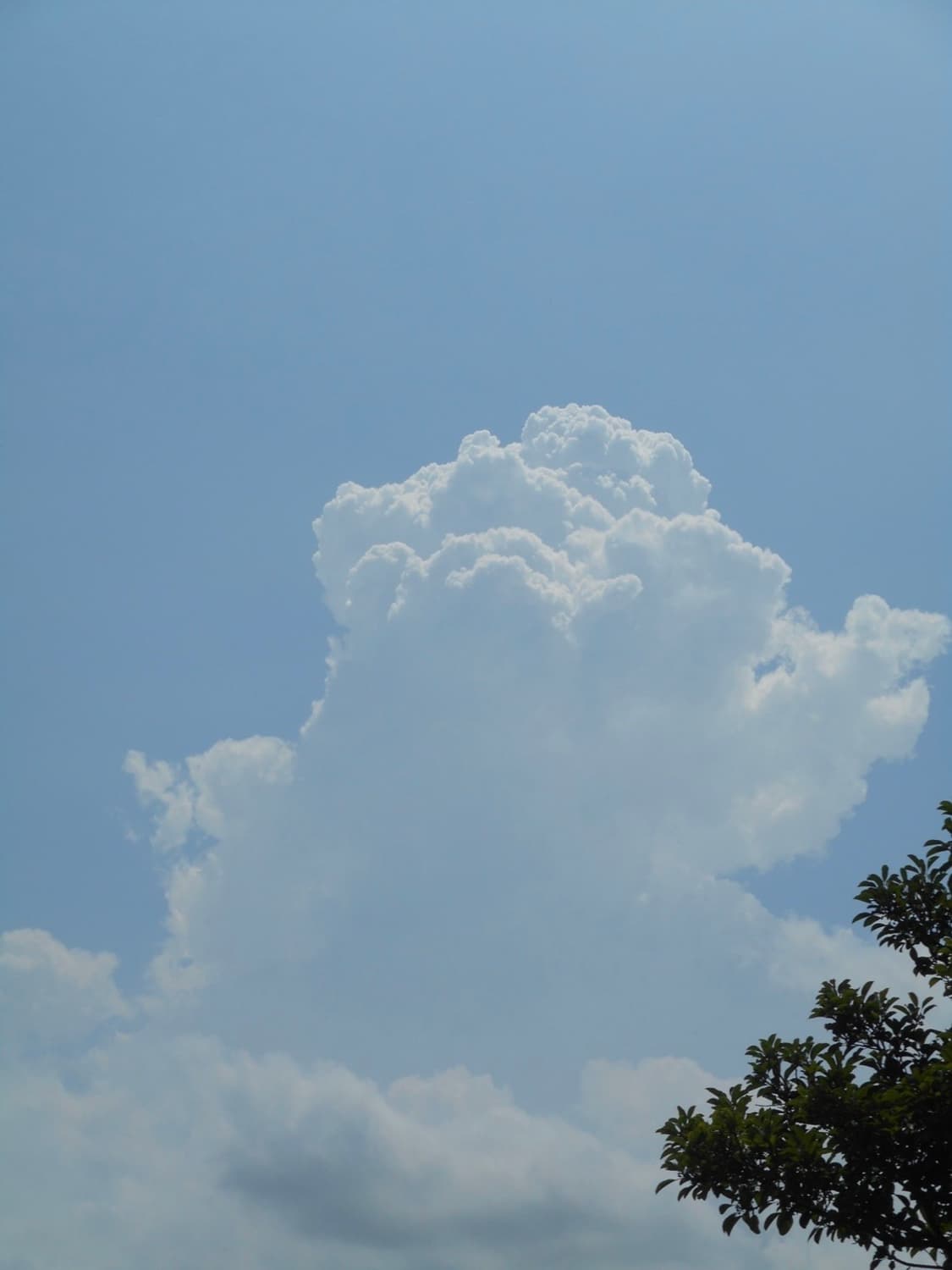 니콘 쿨픽스 S3700 실버 디카 상품이미지8