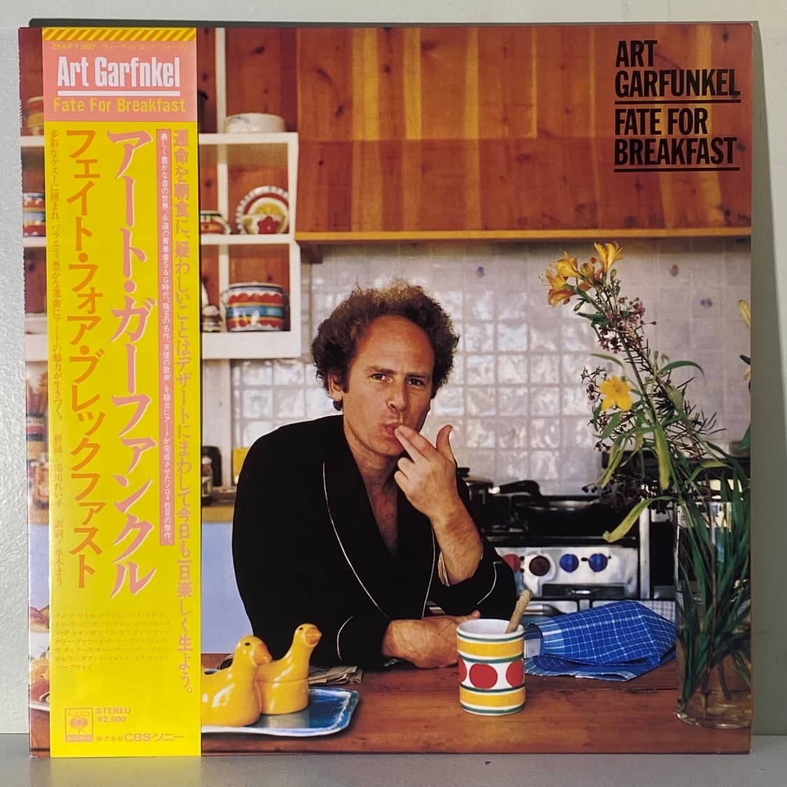 (중고LP-팝록) Art Garfunkel -Fate 상품이미지1