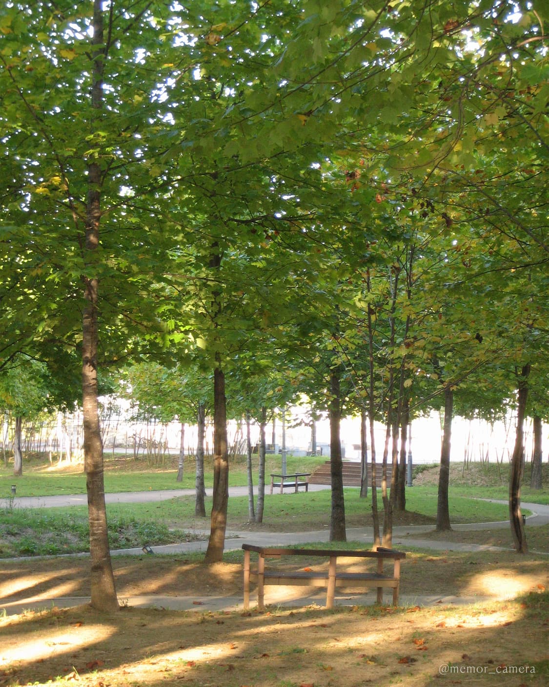 아이유님 픽/한글지원💝 CANON IXY 55 작례O 상품이미지10