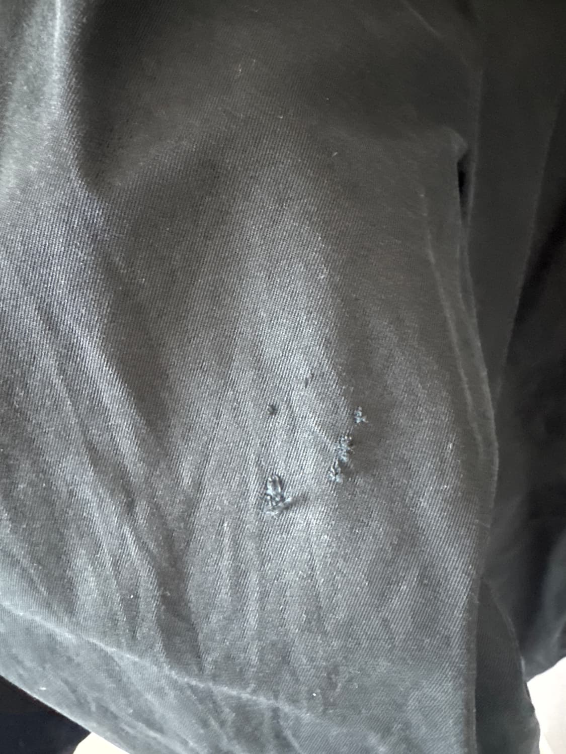 폴로 랄프로렌 코튼팬츠 상품이미지3