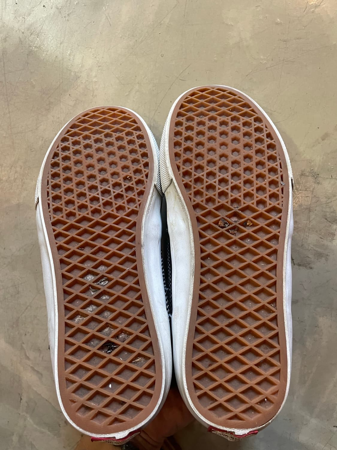 반스 POP CUSH 하프캡 255 상품이미지8